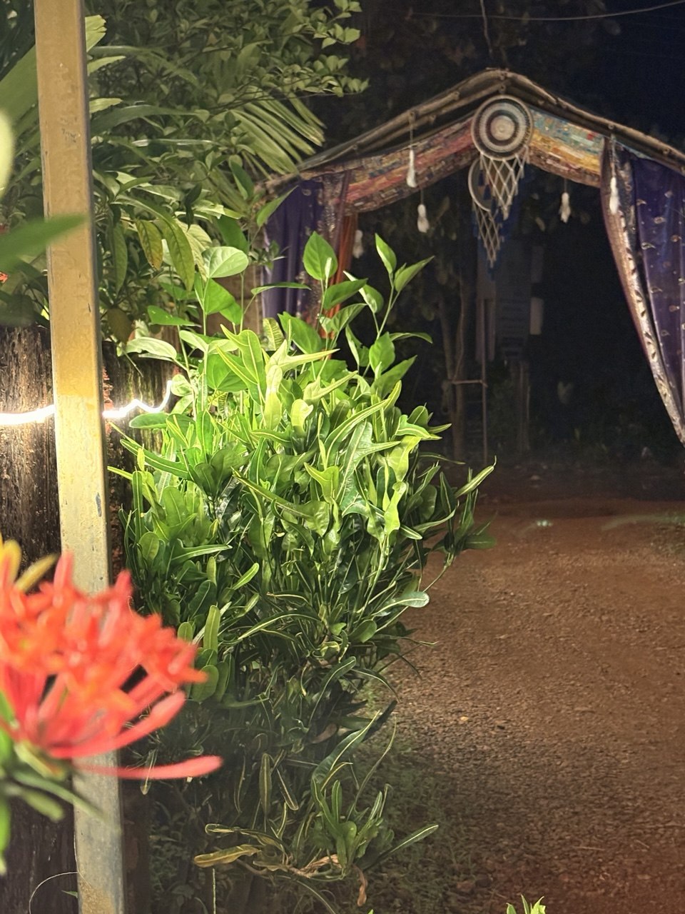 Территория Mirabilis Resort